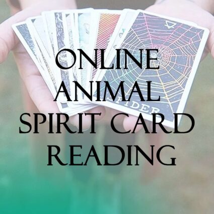 Online Animal Spirit Card Reading